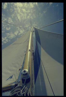 Familiares e amigos de Jorge Bodanzky