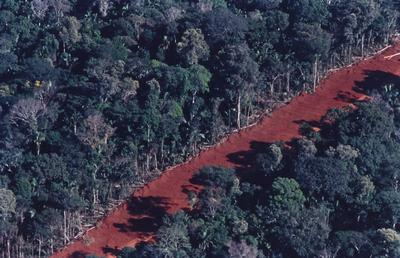 Vista aérea de estrada em meio à floresta