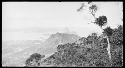 Rio de Janeiro tomado da Floresta da Tijuca