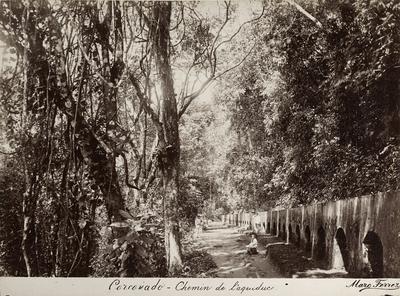 Corcovado - Caminho do Aqueduto
