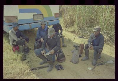 Produção de filme institucional sobre usinas de açúcar