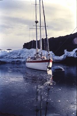 Aventuras de Igor na Antártida