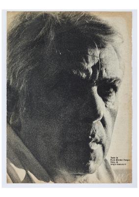 Rubem Braga, profissão cronista