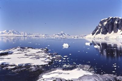 Aventuras de Igor na Antártida