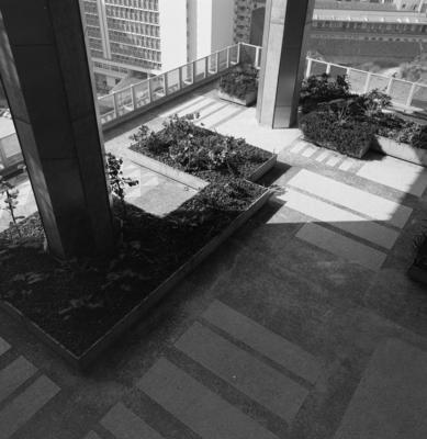 Jardim suspenso do Edifício da Petrobras, projetado por Burle Marx