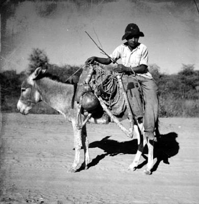 Romeiro montado em jegue