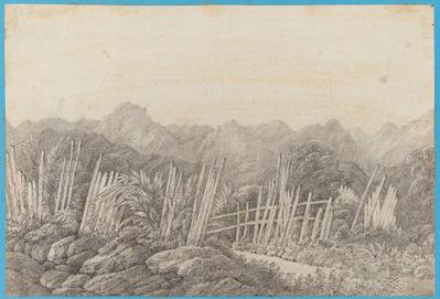 Coté Ouest de la Montagne des Orgues