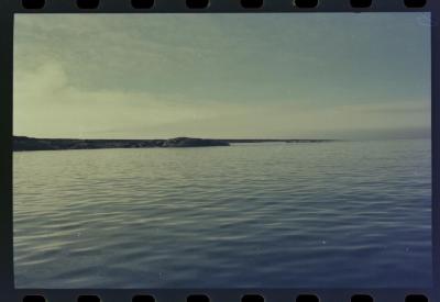 Viagem com a bióloga Livia Monami para registrar a caça da baleia branca