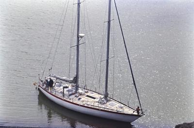 Aventuras de Igor na Antártida