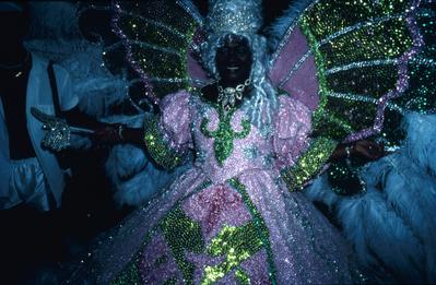 Série Carnaval - Integrantes de escolas de samba