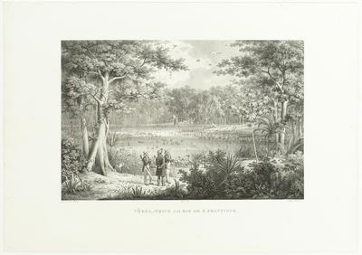 (Lagoa de aves no Rio São Francisco)