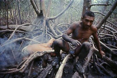 Série Caranguejeiras - Catadores de caranguejos