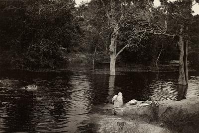 Igarapé de Cachoeira Grande