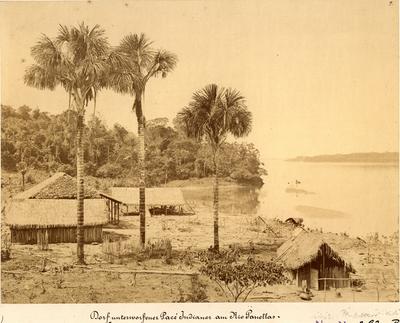 Comunidade indígena Passé; às margens do Rio Panellas