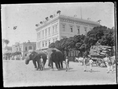 Dois elefantes diante do Palácio do Catete