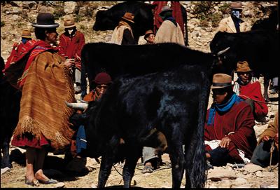 Série Bolívia - População local