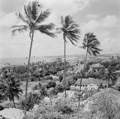Olinda, telhados do casario