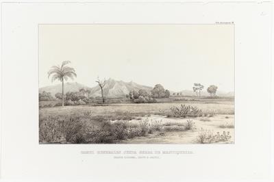 (Os Campos Gerais junto à Serra da Mantiqueira perto de Lorena, Província de S. Paulo)