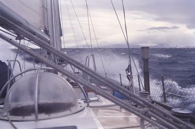 Aventuras de Igor na Antártida