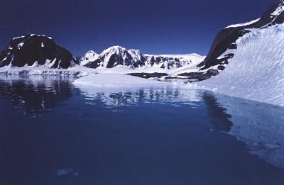 Aventuras de Igor na Antártida