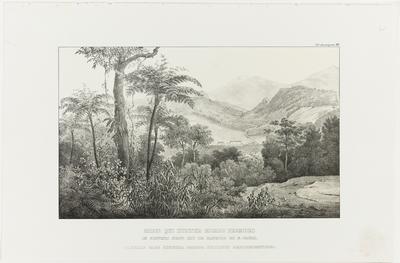 (Monte que se chama Morro Formoso, no limite da Província do Rio de Janeiro e S. Paulo)