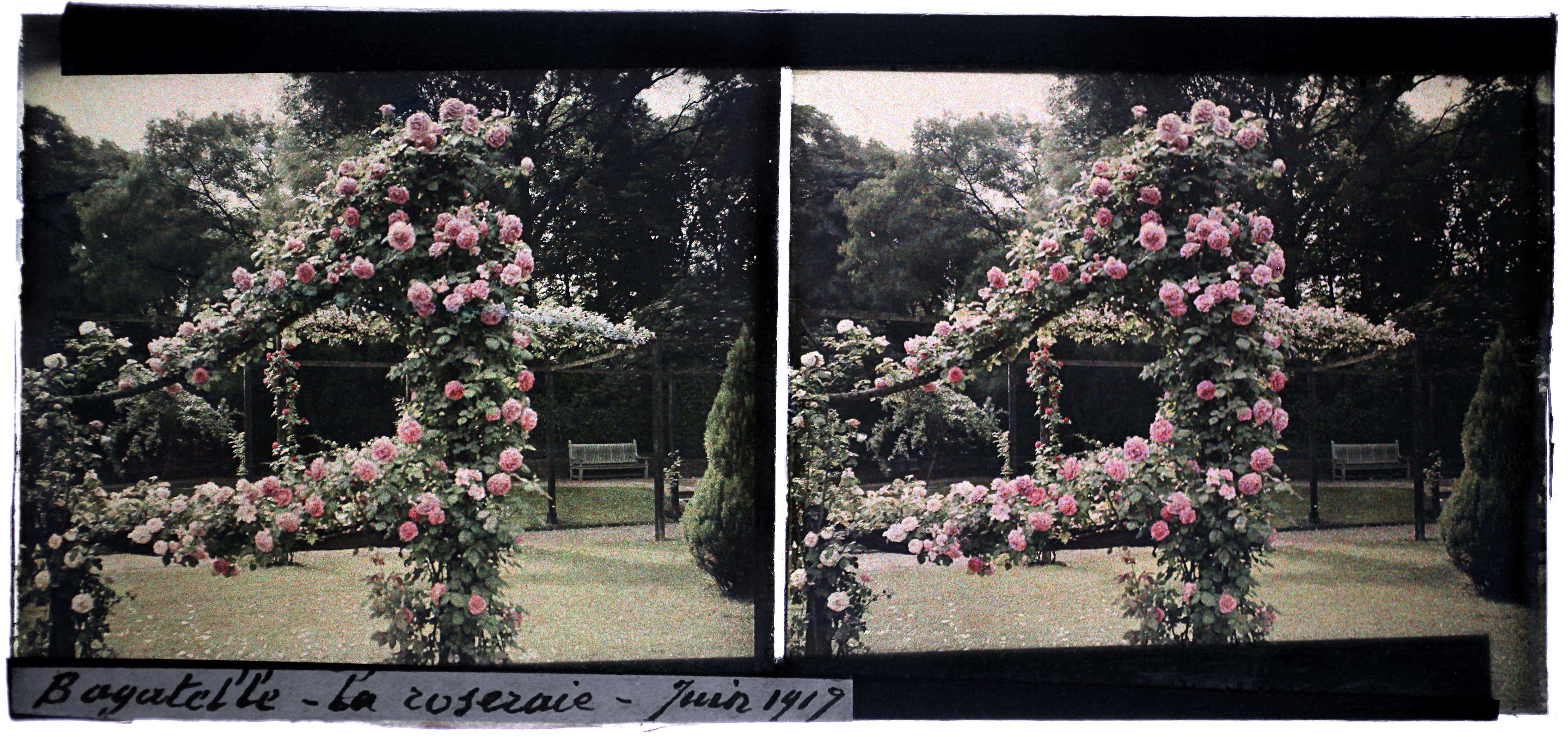 Jardins de Bagatelle