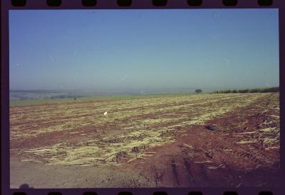 Produção de filme institucional sobre usinas de açúcar