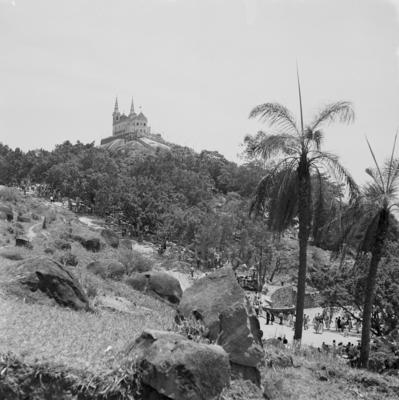 Festa da Penha, festa popular