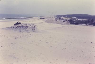 Dunas. Praia em frente ao Quilombo de Sibaúma