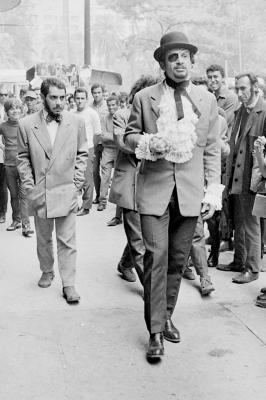 Gamal, O Delírio do Sexo