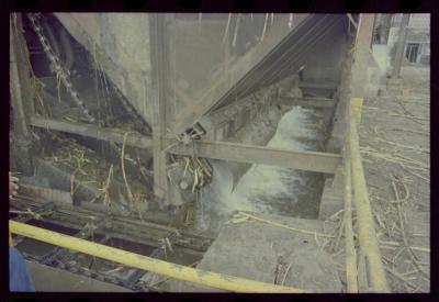 Produção de filme institucional sobre usinas de açúcar