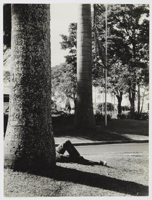 Descanso atrás de uma árvore