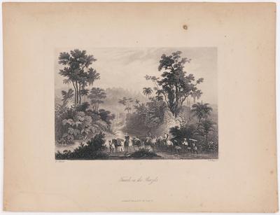 Travels in the Brazils