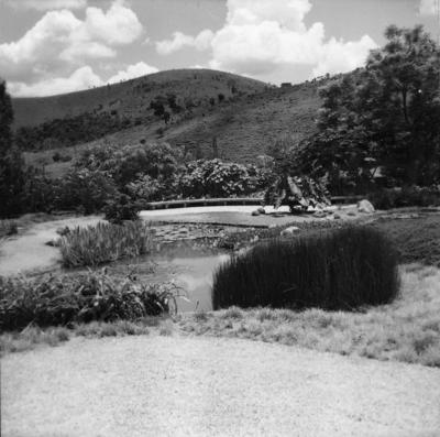 Residência de Carlos Somlo, projeto paisagístico de Burle Marx