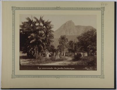 Vista do Corcovado; a partir do Jardim Botânico