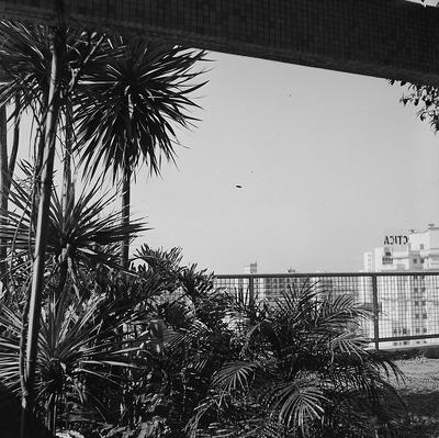 Jardim de Inverno Fasano