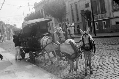 Entregador de bebidas