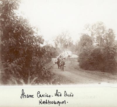 Transporte de cestos. Estrada Caxias - São João