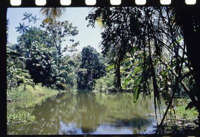 Projeto "Navegar Amazônia"