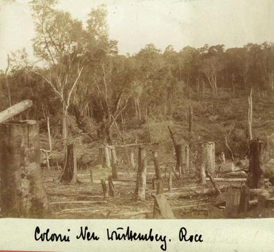 Roça, Colônia Nova Württemberg (atual Panambi)