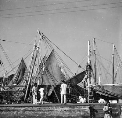 Procissão do Círio de Nazaré