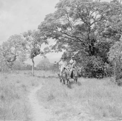 Ilha Mexiana, vaqueiros
