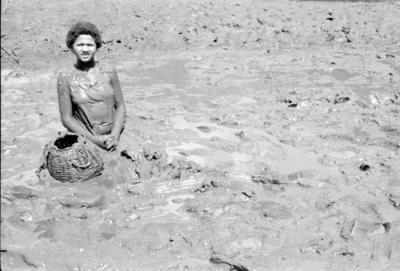 Série Caranguejeiras - Catadora de caranguejo