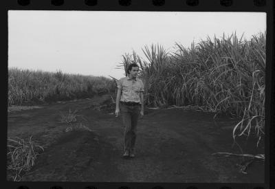 Em busca de fazendas para locacações do filme Os Herdeiros, de Cacá Diegues