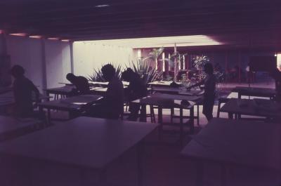 Instituto Central de Artes (ICA)