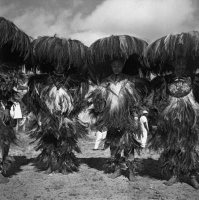 Bumba meu boi, festa popular