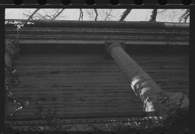 Em busca de fazendas para locacações do filme Os Herdeiros, de Cacá Diegues