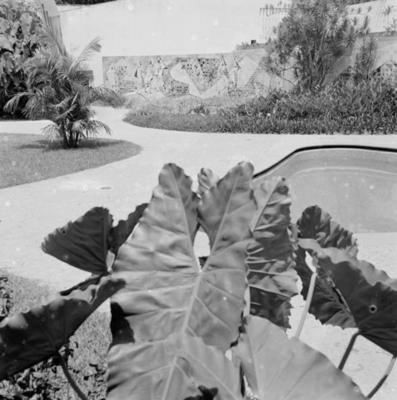 Painel de Burle Marx na residência de Walther Moreira Salles, projeto de Olavo Redig de Campos