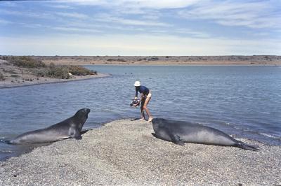 Jorge Bodanzky filmando