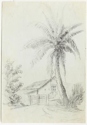 [Paisagem brasileira com coqueiro e casa]